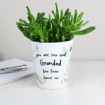 Personalised Leaf Plant Pot Vases Everything Personal