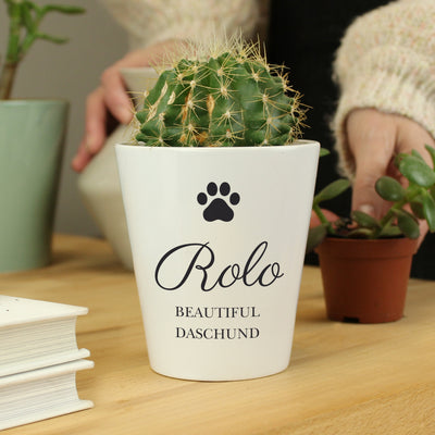 Personalised Paw Print Plant Pot Vases Everything Personal
