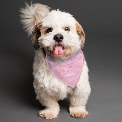 Personalised Princess Dog Bandana Pet Gifts Everything Personal