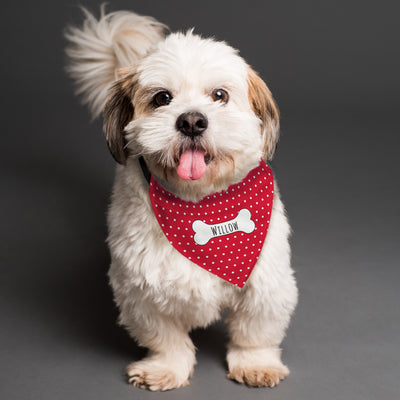 Personalised Red Polka Dot Dog Bandana Pet Gifts Everything Personal