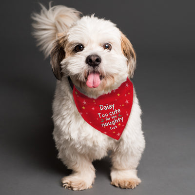 Personalised 'Too cute for the naughty list' Dog Bandana Pet Gifts Everything Personal
